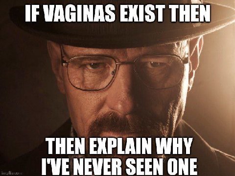 IF VAGINAS EXIST THEN THEN EXPLAIN WHY I'VE NEVER SEEN ONE