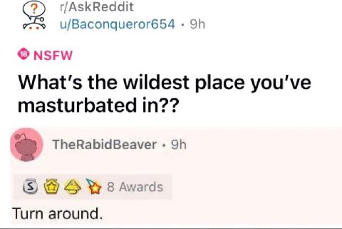 r/AskReddit u/Baconqueror654 NSFW What's the wildest place you've masturbated in?? TheRabidBeaver 2 8 Awards Turn around.