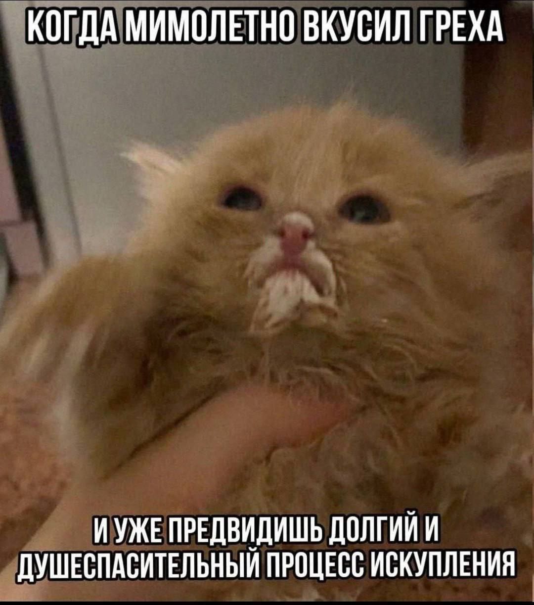 КОГДА МИМОЛЕТНО ВКУСИЛ ГРЕХА ИУЖЕ ПРЕДВИДИШЬ ДОЛГИЙ И ДУШЕСПАСИТЕЛЬНЫЙ ПРОЦЕСС ИСКУПЛЕНИЯ