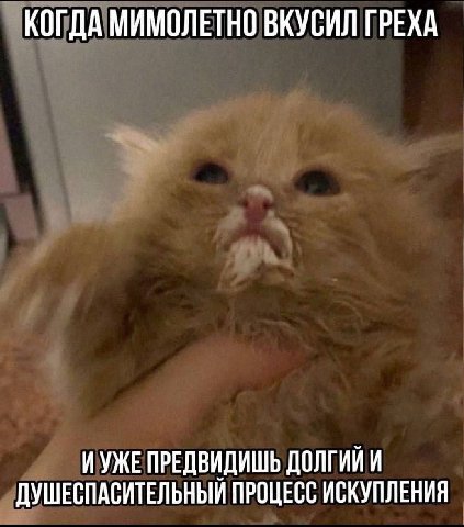 КОГДА МИМОЛЕТНО ВКУСИЛ ГРЕХА ИУЖЕ ПРЕДВИДИШЬ ДОЛГИЙ И ДУШЕСПАСИТЕЛЬНЫЙ ПРОЦЕСС ИСКУПЛЕНИЯ
