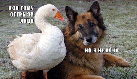 ВОН ТОМУ ОТГРЫЗИ ЛИЦО НО Я НЕ ХОЧУ