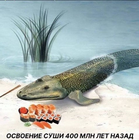 7 я ОСВОЕНИЕ СУШИ 400 МЛН ЛЕТ НАЗАД
