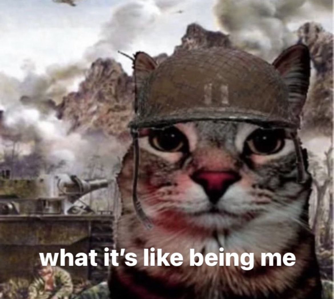 what it's like being me