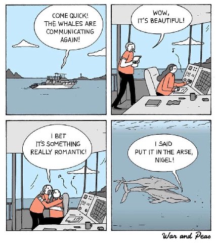 THE WHALES АВЕ IT'S BEAUTIFUL! COMMUNICATING AGAIN! BET ITS SOMETHING SAID REALLY ROMANTIC! PUT IT INTHE ARSE, NIGEL! and Peao