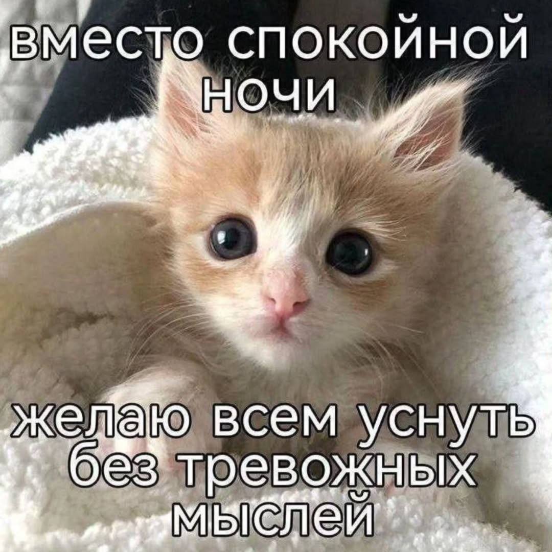 вместо спокойной НОЧИ всем YCHYTB без тревожных