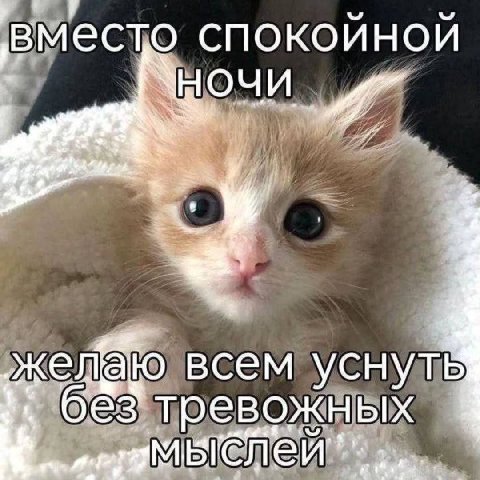 вместо спокойной НОЧИ всем YCHYTB без тревожных