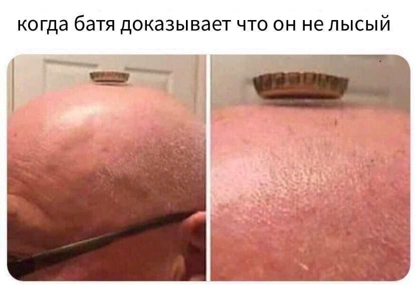 когда батя доказывает что он не лысый