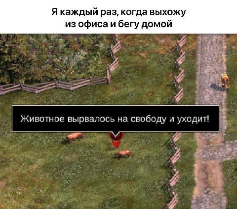 Я каждый раз, когда выхожу из офиса и бегу домой a3 Животное вырвалось на свободу и уходит!