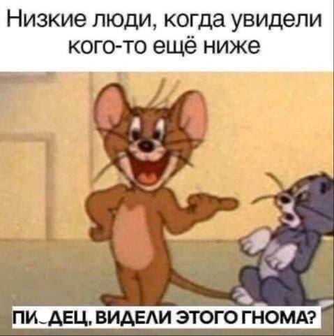 Низкие люди, когда увидели кого-то ещё ниже ПИ_ДЕЦ, ВИДЕЛИ ЭТОГО ГНОМА?