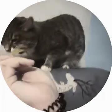 3,