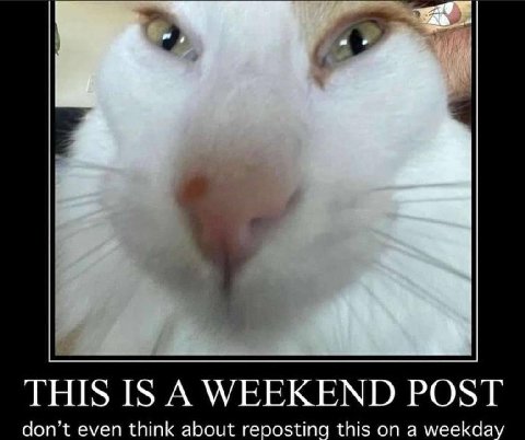у THIS IS А WEEKEND POST don’t even think about reposting this on a weekda