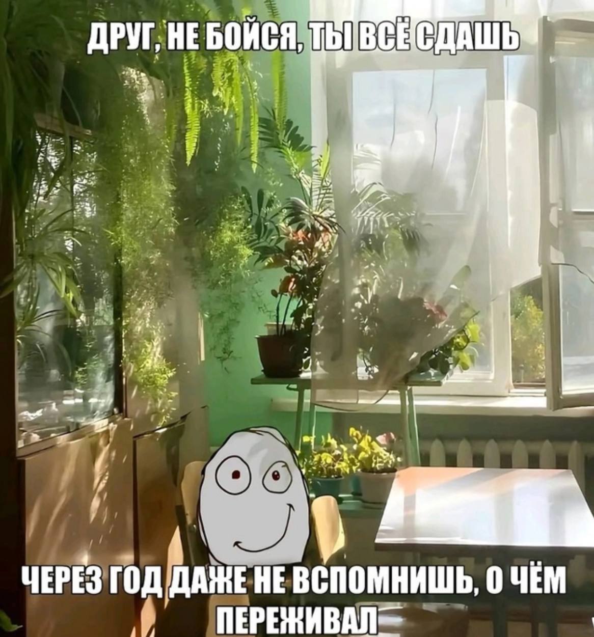 ДРУГ, soe 7 ЧЕРЕЗ ГОД ДАНЕ НЕВСПОМНИШЬ, 0 ЧЕМ