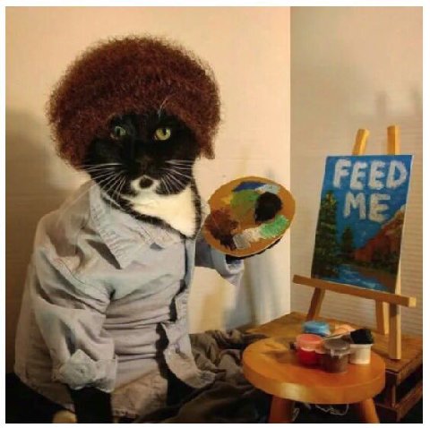 FEED