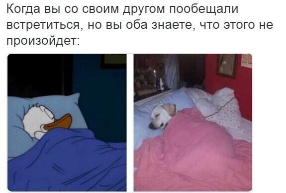 Когда вы своим другом пообещали встретиться, но вы оба знаете, что этого не произойдет: