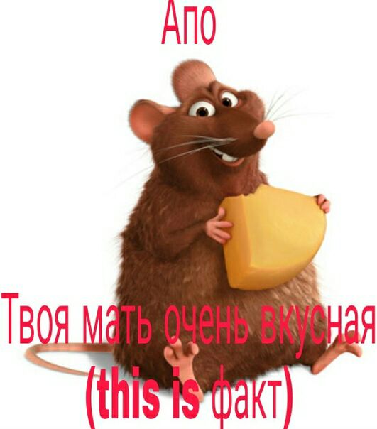 АПО окт