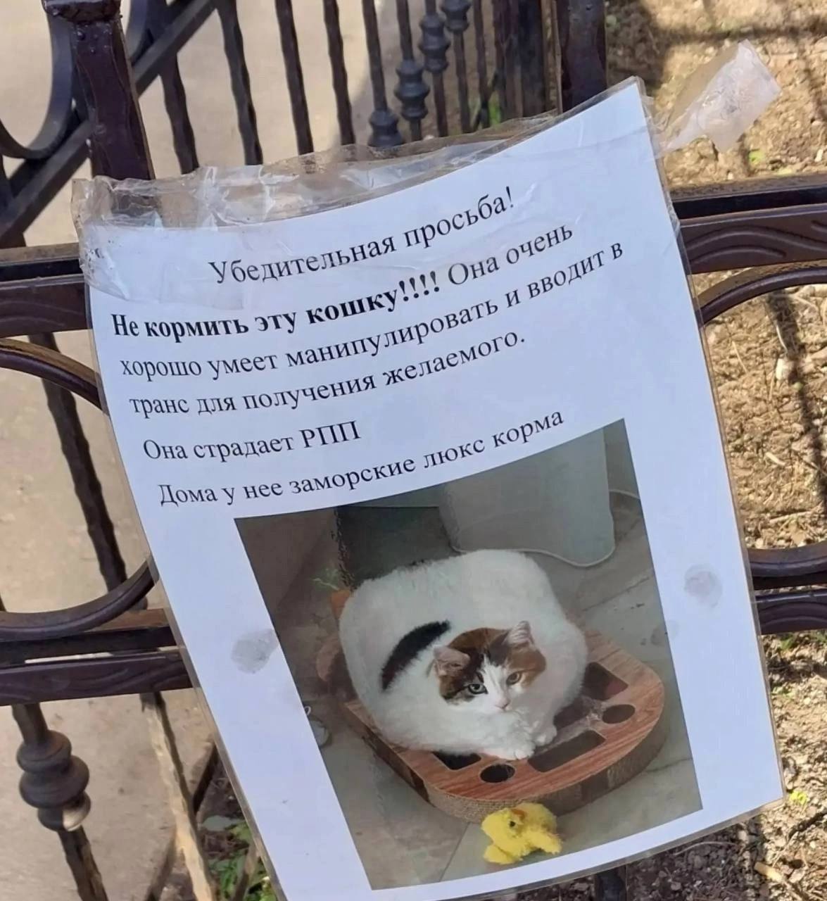 2 096 4 Убелит эту KOPN емо" умеет для Ona страдает у 7 2 2 wai у