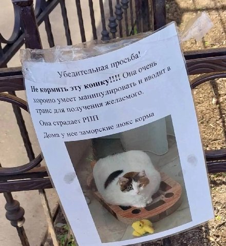 2 096 4 Убелит эту KOPN емо" умеет для Ona страдает у 7 2 2 wai у