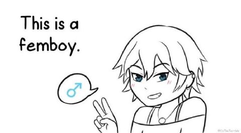 This is a Femboy.