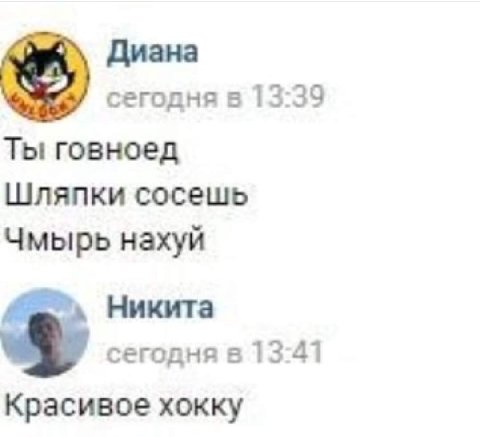 Диана сегодня в 13:39 Ты говноед Шляпки сосешь Чмырь нахуй Никита 2 сегодня в 13:41 Красивое хокку
