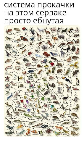 система прокачки на этом просто ебнутая Cetacea Wolf ‘Ruminantia, Caniformia Hymenopters Felis Insecta Perissodactyla Panina Homo: Chilopoda Chiroptera Crustacea Arachnida Primates Cephalopod Fabids G