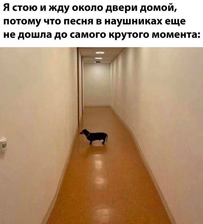 Я стою и жду около двери домой, потому что песня в наушниках еще не дошла до самого крутого момента: