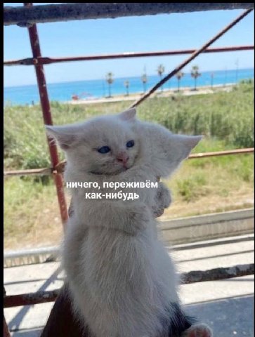a ичего, переживём как-нибудь