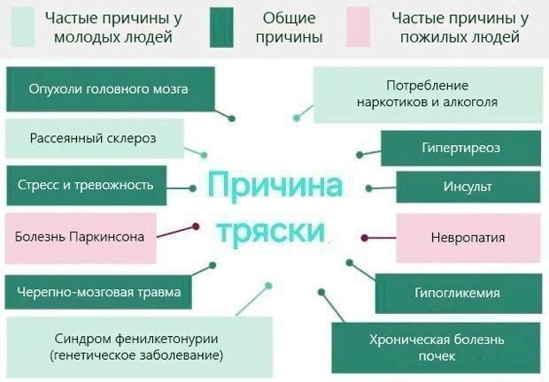 Частые причины у общие Частые причины у молодых людей причины пожилых людеи Потребление Опухоли головного мозга наркотиков и алкоголя Рассеянный склероз lov Болезнь Паркинсона Невропатия Черепно-мозго