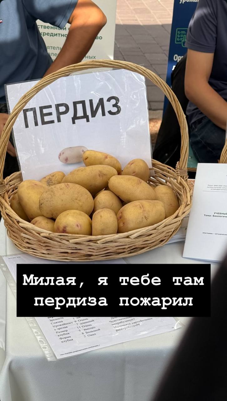 твен ред Ser РДИЗ Милая, тебе там пердиза пожарил