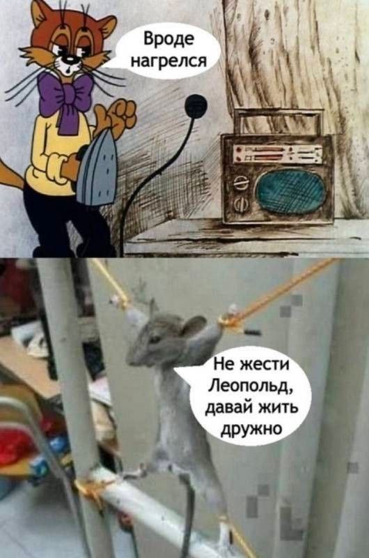 Вроде нагрелся Не жести Леопольд, давай жить дружно