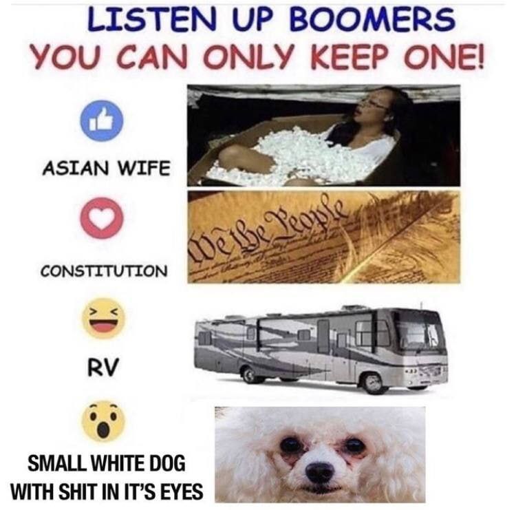 LISTEN UP BOOMERS YOU CAN ONLY KEEP ONE! wer о CONSTITUTION SMALL WHITE DOG WITH SHIT IN IT’S EYES