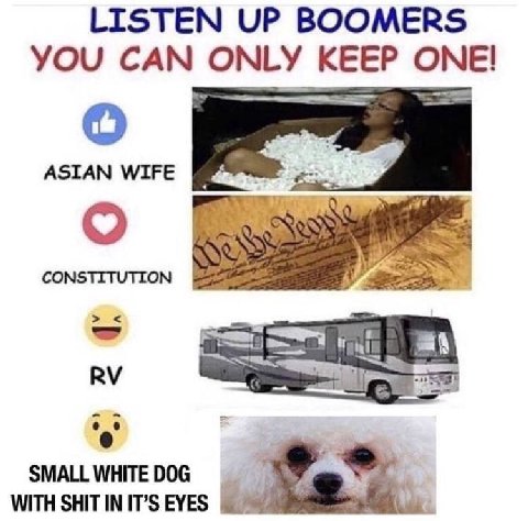 LISTEN UP BOOMERS YOU CAN ONLY KEEP ONE! wer о CONSTITUTION SMALL WHITE DOG WITH SHIT IN IT’S EYES