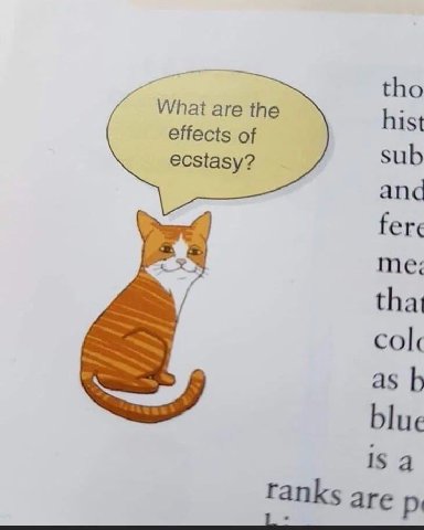 tho What are the hist effects of ecstasy? and fere that as blue is а ranks are