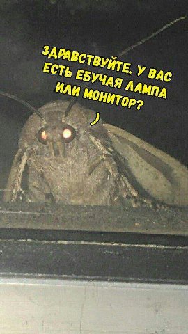 ВАС ЕСТЬ ЕБУЧАя ЛАМПА ИЛИ МОНИТор>