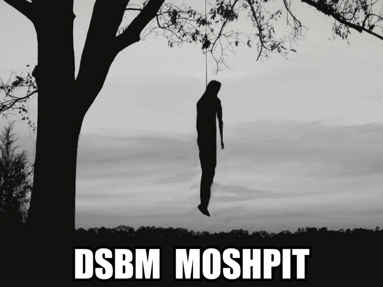 DSBM MOSHPIT