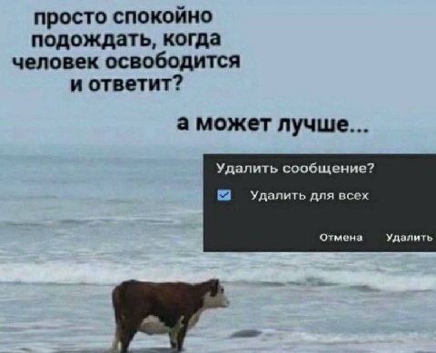 просто спокойно подождать, когда человек освободится и ответит? а может лучше... Удалить сообщение? Удалить для всех Отмена Удалить