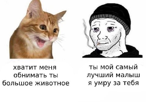 -2 хватит меня ты мой самый обнимать ты лучший малыш большое животное я умру за тебя
