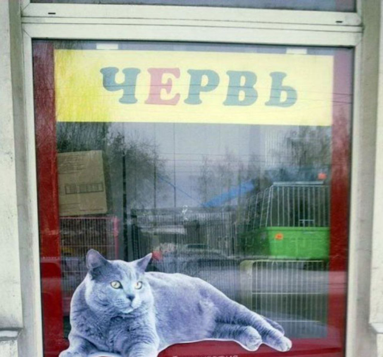 ЧЕРВЬ