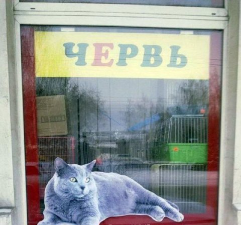 ЧЕРВЬ