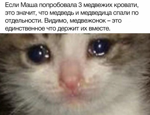 Если Маша попробовала 3 медвежих кровати, это значит, что медведь и медведица спали по отдельности. Видимо, медвежонок это единственное что держит вместе. в