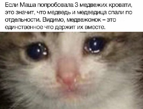 Если Маша попробовала 3 медвежих кровати, это значит, что медведь и медведица спали по отдельности. Видимо, медвежонок это единственное что держит вместе. в