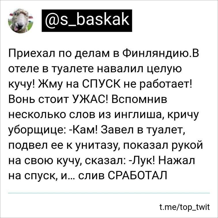 @s_baskak Приехал по делам в Финляндию.В отеле в туалете навалил целую кучу! Жму на СПУСК не работает! Вонь стоит УЖАС! Вспомнив несколько слов из инглиша, кричу уборщице: -Кам! Завел в туалет, подвел