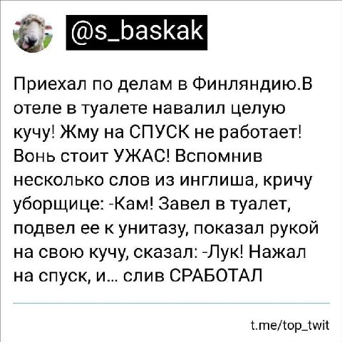 @s_baskak Приехал по делам в Финляндию.В отеле в туалете навалил целую кучу! Жму на СПУСК не работает! Вонь стоит УЖАС! Вспомнив несколько слов из инглиша, кричу уборщице: -Кам! Завел в туалет, подвел
