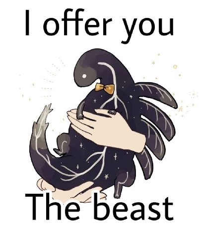 offer you