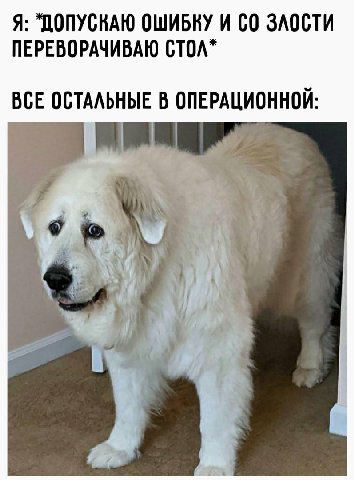 Я: "ДОПУСНАЮ ОШИБКУ И ЗЛОСТИ ПЕРЕВОРАЧИВАЮ ВСЕ ОСТАЛЬНЫЕ В ОПЕРАЦИОННОЙ: