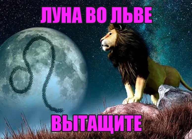 2 у