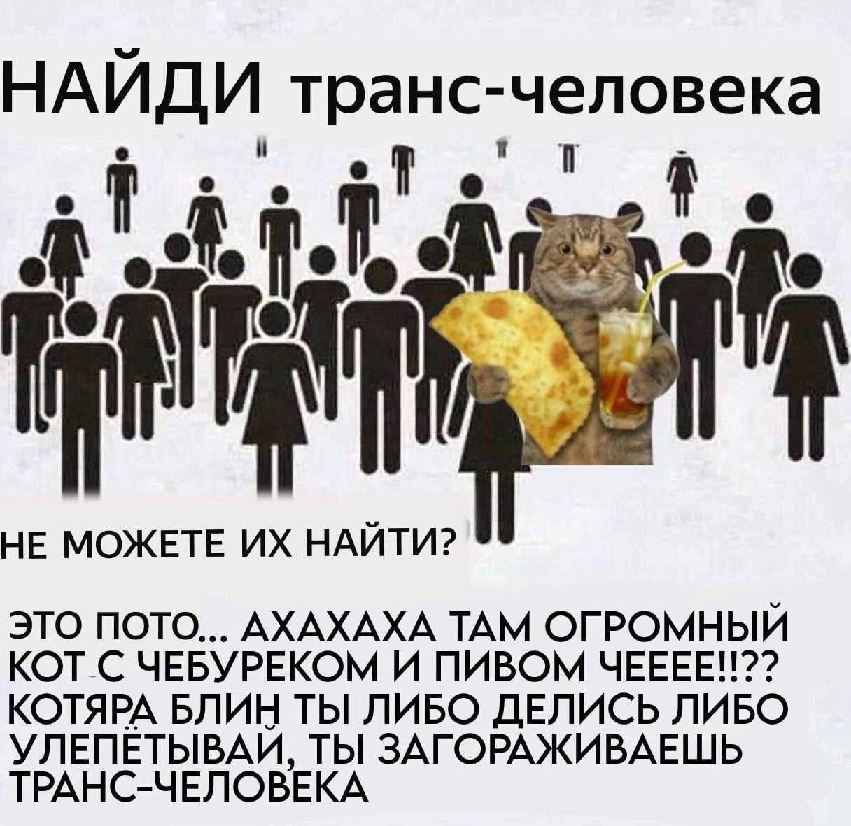 НАИДИ транс-человека о 1 у НЕ МОЖЕТЕ НАЙТИ? ЭТО ПОТО... АХАХАХА ТАМ ОГРОМНЫЙ КОТ С ЧЕБУРЕКОМ И ПИВОМ ЧЕЕЕЕ!!?? КОТЯРА БЛИН ТЫ ЛИБО ДЕЛИСЬ ЛИБО УЛЕПЕТЫВАЙ, ТЫ ЗАГОРАЖИВАЕШЬ ТРАНС-ЧЕЛОВЕКА