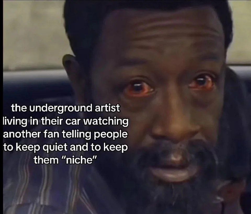 the underground artist living in their car watching another fan telling people to keep quiet and to keep them “niche”