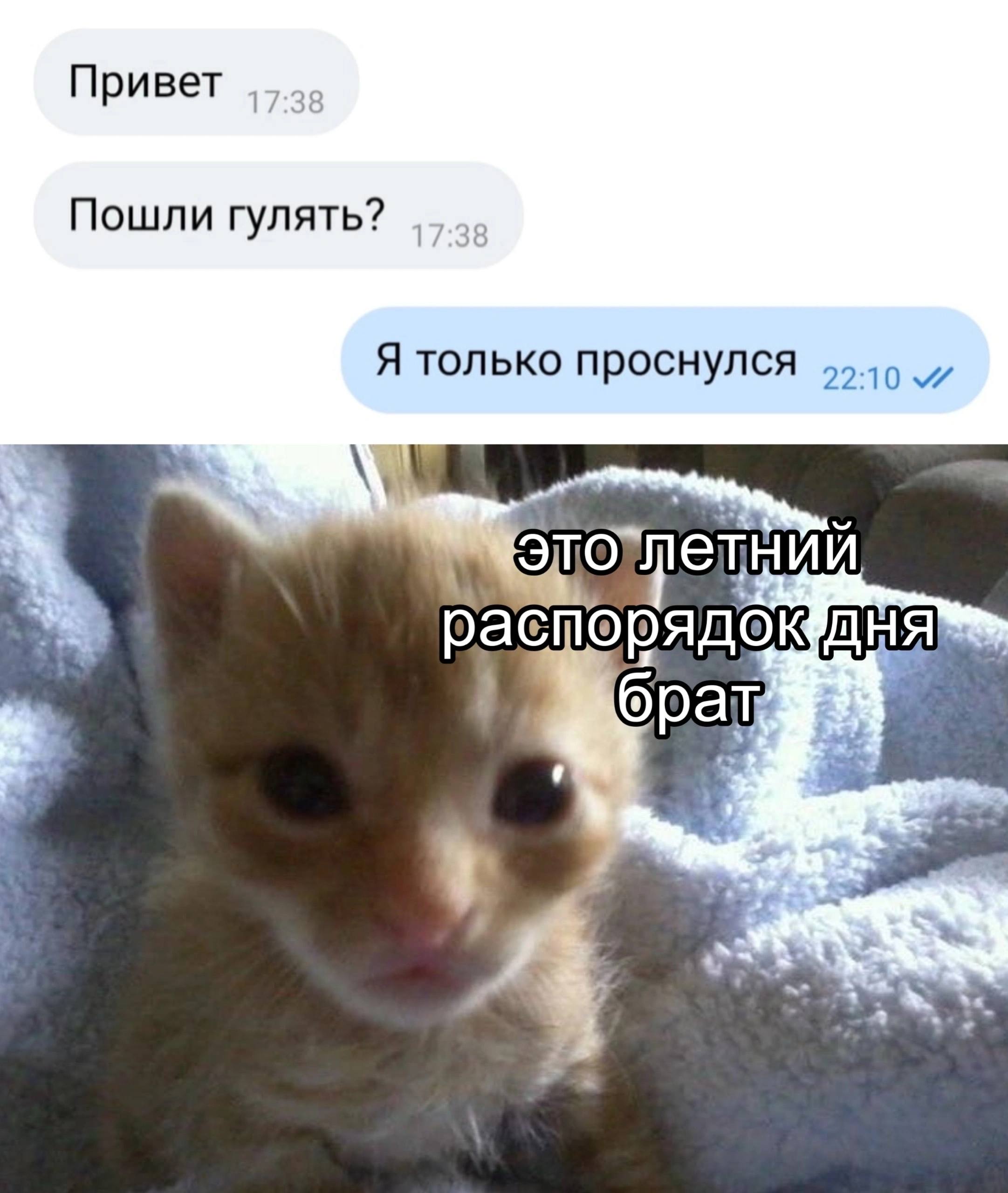 Привет 17:38 Пошли гулять? Я только проснулся распорядок