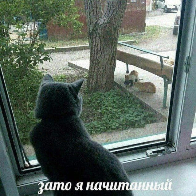 if зато я на