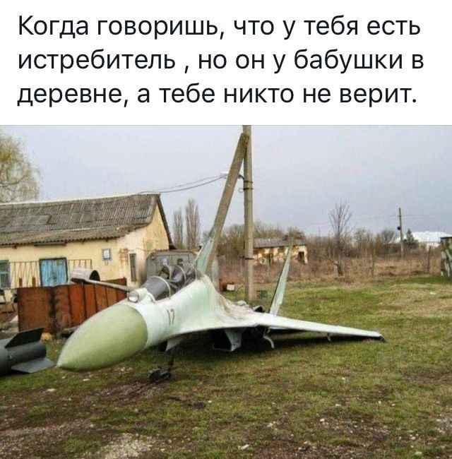 Когда говоришь, что у тебя есть истребитель ону бабушки в деревне, а тебе никто не верит.